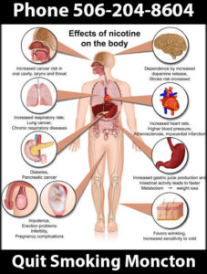 Parts of the Body Affected by Smoking